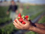 Pe ce vor paria investitorii straini, anul viitor, in Romania