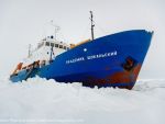 Nava ruseasca a inceput sa se elibereze dintre gheturile Antarcticii