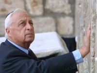 Mii de oameni au venit la Parlamentul israelian pentru a-i aduce un ultim omagiu lui Ariel Sharon. Funeraliile fostului premier vor avea loc, luni, la Ierusalim