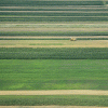 Cum tripleaza intermediarii preturile terenurilor agricole, in cea mai faramitata tara din UE. Afacerea de 10.000 de euro/tranzactie
