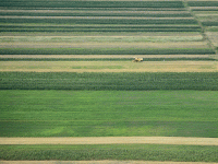 
	Cum tripleaza intermediarii preturile terenurilor agricole, in cea mai faramitata tara din UE. Afacerea de 10.000 de euro/tranzactie
