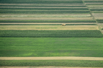 Cum tripleaza intermediarii preturile terenurilor agricole, in cea mai faramitata tara din UE. Afacerea de 10.000 de euro/tranzactie