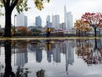 Germania va raporta scadere economica, in trim. II, pentru prima data din 2012. Bloomberg: Problemele din zona euro se muta din sud in nordul continentului