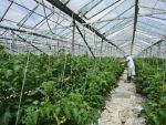 AOAR: Impozitul pe constructii este o nenorocire fiscala si va avea un impact negativ in economie, superior incasarilor la buget