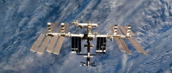 Prima recolta de legume proaspete, obtinuta la bordul Statiei Spatiale Internationale