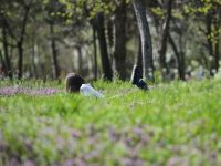 Vreme prea calda pentru mijlocul lui februarie. Temperatura de azi, record pentru ultimii 50 de ani