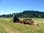Ministerul Agriculturii vrea sa acceseze 150 de milioane de euro, bani europeni, pentru ferme