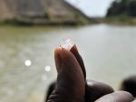 Un diamant de 153 de carate, estimat la 6,2 milioane de dolari, descoperit in Sierra Leone