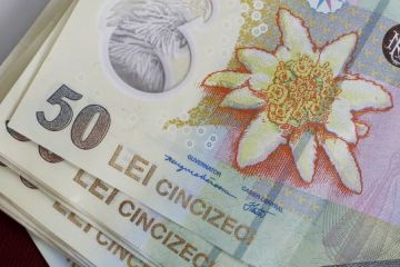 Senatorii verifica activitateta Autoritatii de Supraveghere Financiara si cer restituirea banilor luati pe prime