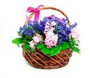 Afacerile Floridelux.ro au crescut cu 40% anul trecut, la 750.000 de euro