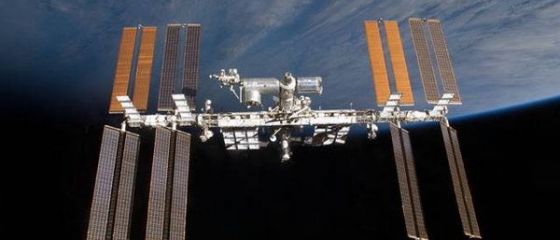 Descoperirea secolului pe Statia Spatiala Internationala. Super-legumele create de astronauti in spatiu, mai bogate in nutrimente, ar putea fi comercializate in curand in magazine
