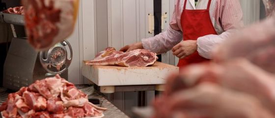 Schema prin care romanilor li s-a vandut drept noua carne alterata. Statul, pacalit cu 15 mil. euro. Gruparea infractionala, sprijinita de marii producatori din tara