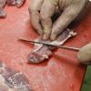 Zece persoane au fost retinute in dosarul de evaziune fiscala si comercializare de carne alterata. Prejudiciul estimat se ridica la peste 15 mil. euro