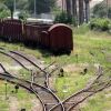 Intr-o lume in care trenurile merg cu 400 km/ora, ale noastre circula mai prost ca acum 80 de ani. Reportaj de pe ruta Bucuresti-Buzau, calatorie care dureaza cu 40 minute mai mult ca in 1938