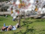 Guvernul a aprobat hotararea prin care ziua de 2 mai e declarata zi libera