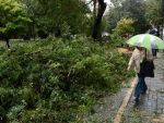 Cod galben de vant in tot sudul tarii, inclusiv in Bucuresti