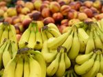 Productia mondiala de banane, evaluata la 9 mld. dolari, pusa in pericol de extinderea unei ciuperci din Asia