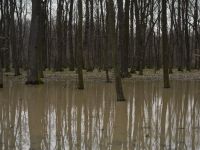Cod rosu de inundatii extins in Prahova si Ialomita
