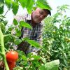 Agricultura hidroponica, afacerea viitorului. Metoda inedita prin care fermierii pot recolta tot anul, iar profitul este mult mai mare
