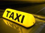 Taxiuri de nisa. Animalele de companie si copiii, surse profitabile pentru companiile de transport