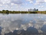 Delta din mijlocul Bucurestiului. Consilierii generali a avizat transformarea zonei din jurul Lacului Vacaresti in Parc Natural