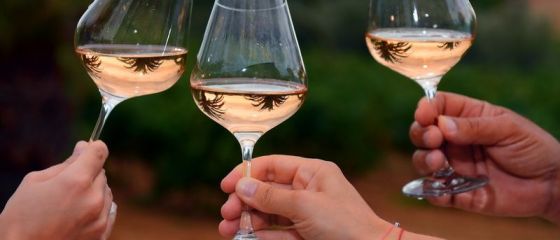 Romania, al 12-lea cel mai mare producator de vin la nivel mondial, desi cantitatea a scazut cu 20%, din cauza conditiilor meteo nefavorabile