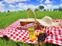 
	Romanii care merg in excursii cheltuiesc de 10 ori mai mult pe picnicuri decat la restaurante
