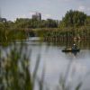 Bucurestiul va avea un parc natural spectaculos la 5 kilometri de Casa Poporului. Experti britanici ajuta la amenajarea zonei