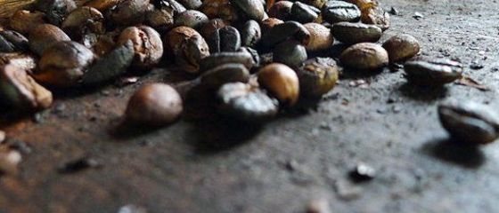 Cafeaua la filtru este mai sanatoasa decat cea pregatita la ibric