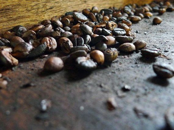 Cum se naste cel mai mare producator de cafea din lume. Doi giganti din retail fuzioneaza