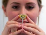 Un diamant galben foarte rar, vandut la licitatie cu suma record de 16,2 milioane de dolari