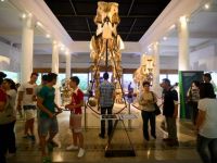 Noaptea Muzeelor, magnet pentru vizitatori si in 2014. 18.000 de oameni la Antipa