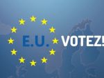 De ce mergem astazi la vot? Cine sunt cei care vor sa reprezinte Romania in Parlamentul European. Mic ghid al euroalegerilor