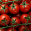 Schimbarile climatice modifica soiurile de legume cultivate in Romania. Semintele create in laborator salveaza culturile fermierilor, dar nu mai ofera gustul de altadata