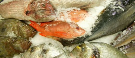 Platim gheata la pret de peste. Cat pierdem dupa ce dezghetam produsele congelate. Reactia aberanta a autoritatilor in fata furturilor de la cantar