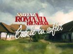 Down-shift , expresia pretentioasa a unui vis simplu. Cum si-a schimbat un cuplu de romani viata printr-o casa traditionala