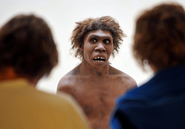 Descoperire Inedita Despre Omul De Neanderthal Are O Origine De Cel Putin 430000 De Ani Mai 8290