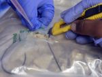 Regele cocainei din Bulgaria, judecat la Bucuresti, pentru introducerea in Romania a peste 51 kg de droguri
