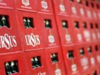 
	Ursus Breweries a inchiriat 9.300 mp in parcul logistic Log Center Timisoara, detinut de Immofinanz
