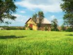 Fermieri la oras. 1 din 5 tineri care au luat fonduri pentru infiintarea de ferme la tara s-a mutat doar cu buletinul . Statul le cere banii inapoi