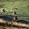 Americanul de origine romana care ne conserva trecutul, pentru a avea un viitor. Povestea casei reconstruite dupa o schita din 1968