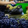 Liber la vanzarea de fructe moldovenesti pe pietele din UE, dupa ce Moscova a interzis importurile de la Chisinau. Produsele, de 3 ori mai ieftine decat cele romanesti, omoara micii fermieri