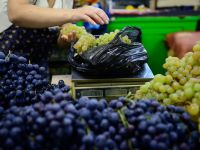 Liber la vanzarea de fructe moldovenesti pe pietele din UE, dupa ce Moscova a interzis importurile de la Chisinau. Produsele, de 3 ori mai ieftine decat cele romanesti, omoara micii fermieri