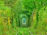 Tunelul Iubirii din Romania, inclus pe lista Redescopera Europa a Parlamentului European