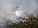 Suedia, cele mai grave incendii de padure din istoria moderna