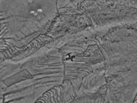 Pentagon: Intre 4.000 si 5.000 de refugiati yazidi, in muntii Sinjar in Irak