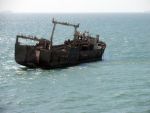 Romania, te iubesc : De la locul 3 in lume la productia de peste, la o singura nava functionala. Cum a fost vanduta flota de pescuit oceanic a Romaniei la preturi de conserve goale