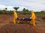 Boala misterioasa din Nigeria, care provoaca moartea in 24 de ore, ar fi cauzata de ierbicide