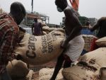 Nestle, in alerta maxima din cauza Ebola. Pretul pentru cacao creste din cauza temerilor ca boala ar ajunge si in Coasta de Fildes
