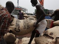 
	Nestle, in alerta maxima din cauza Ebola. Pretul pentru cacao creste din cauza temerilor ca boala ar ajunge si in Coasta de Fildes
